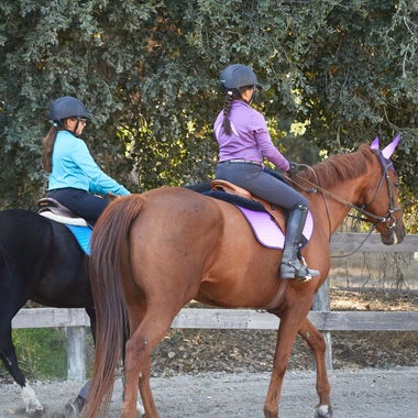 Equestrian Kids' Riding Breeches, Tights, & Jodhpurs