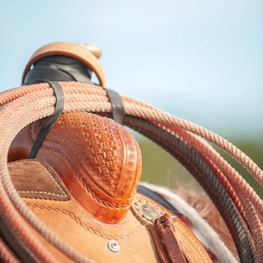 Ranch Ropes