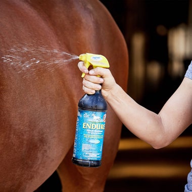 Topical Fly and Pest Repellents for Horses