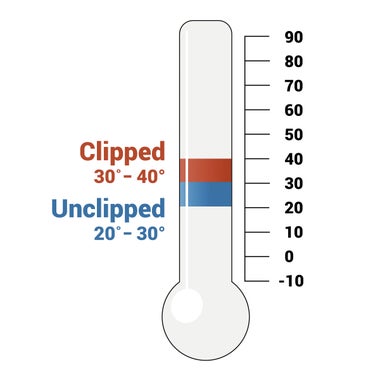 WeatherBeeta Medium Weight Turnout Blankets