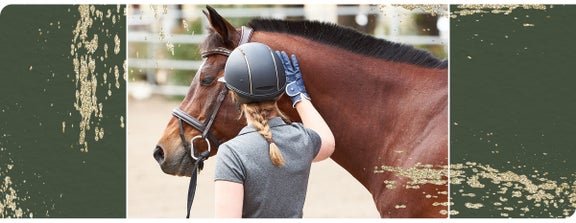 Top 10 Gifts for Your Equine