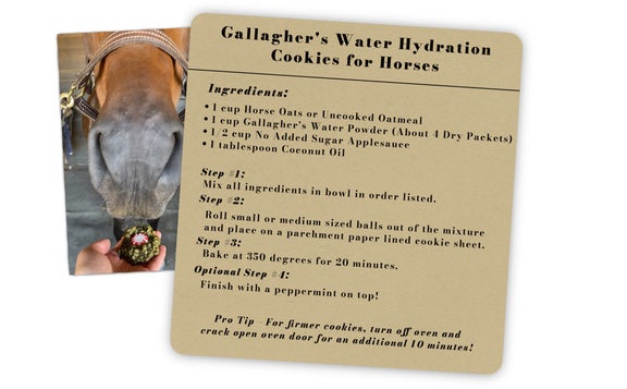 DIY Horse Treat Recipe Image