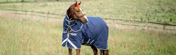 Horse Blankets and Sheets