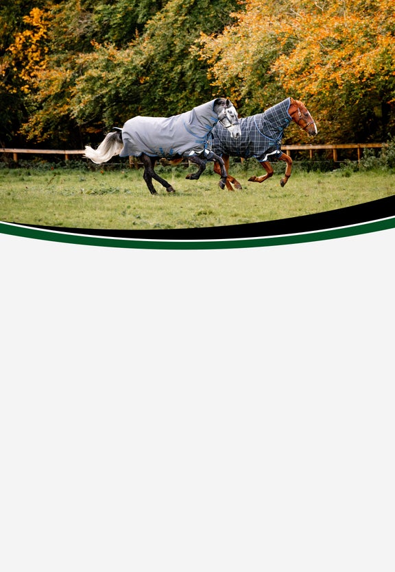 Purchase Riding Tights - Silicone Online - Horseware Ireland ®