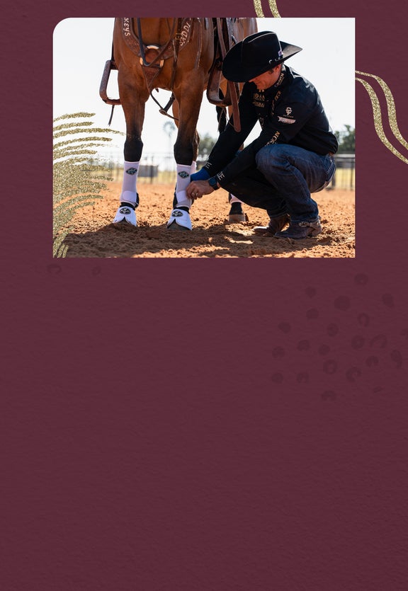 $10 OFF 2-pack, $20 OFF 4-pack