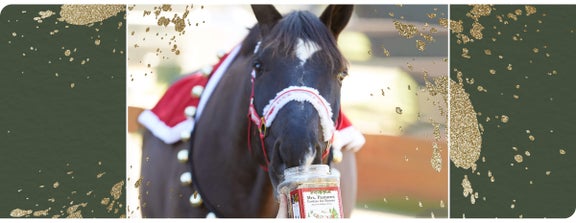 RW's Favorite Stocking Stuffers