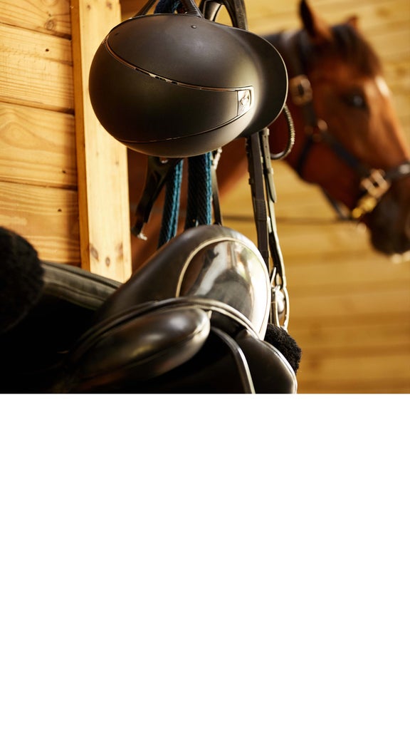 Pro Tips for Clean Tack
