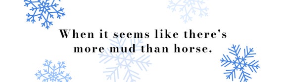 Winter Grooming Tag Line