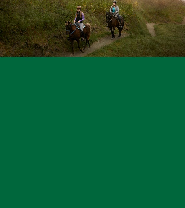 Western Saddle Pads Riding Warehouse