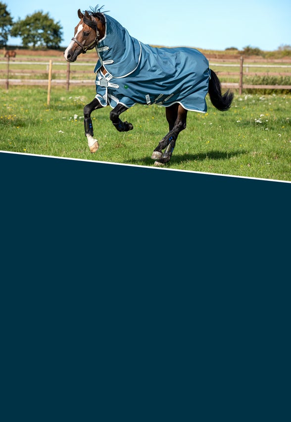 Horse Blankets & Sheets Riding Warehouse