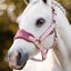 Pony Halters