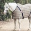 Horse Stable Day Sheets