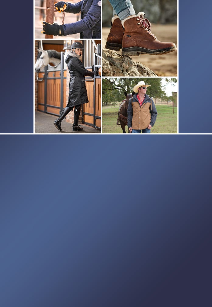 Horse Tack Horse Gear & Supplies Riding Warehouse