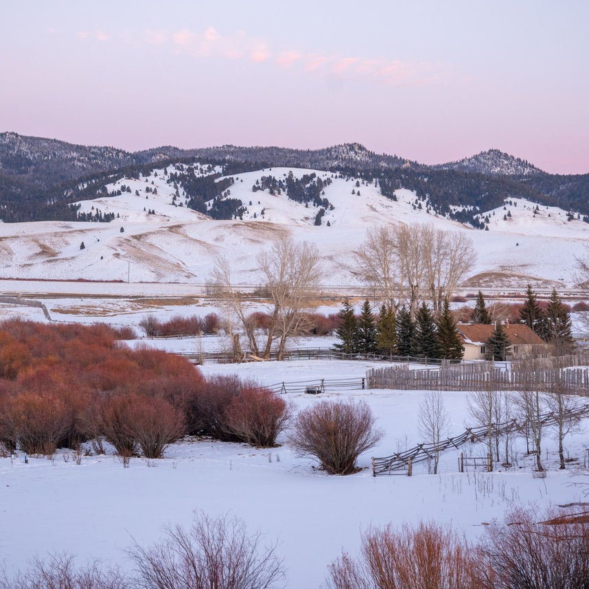 The Snow Day Cozy Collection