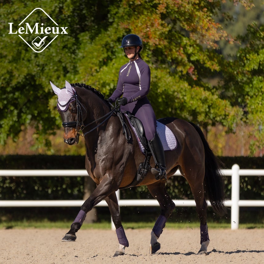 For the Dressage Horse & Rider