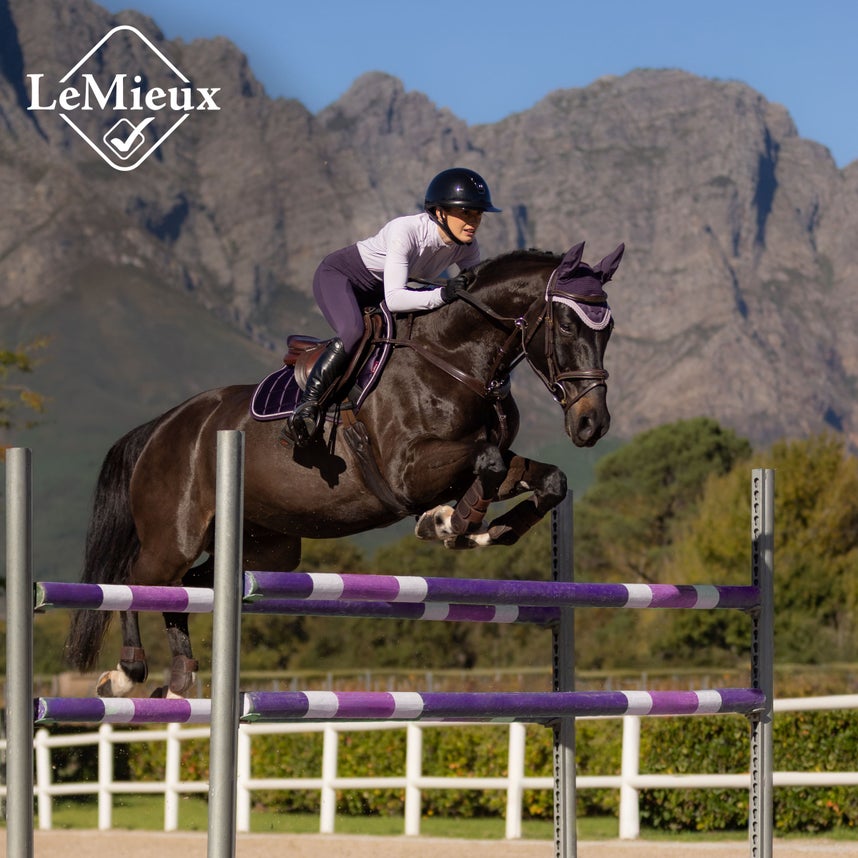 For the Jumper Horse & Rider