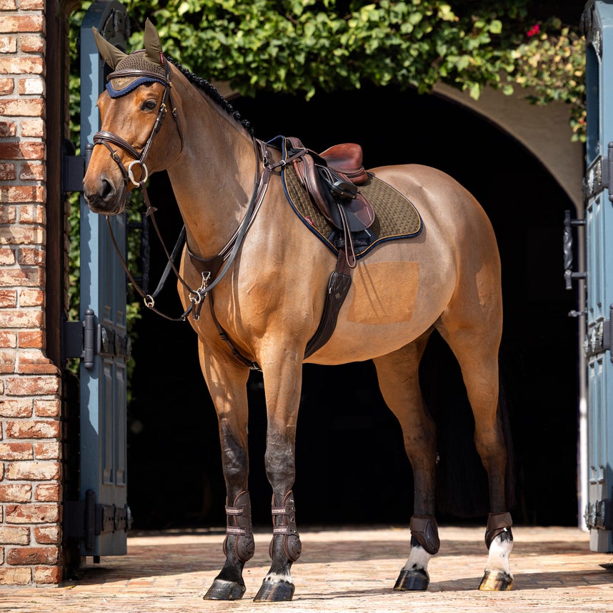 Saddle Pads & Ear Bonnets