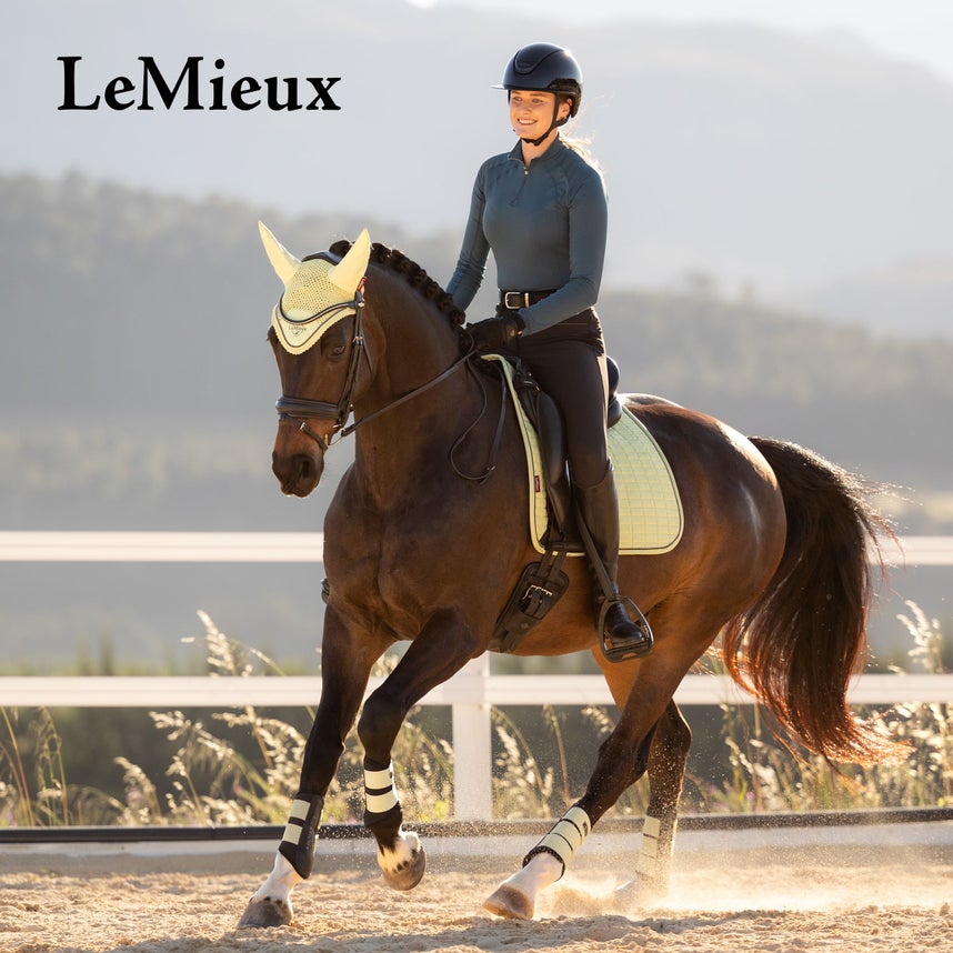 For the Dressage Horse & Rider