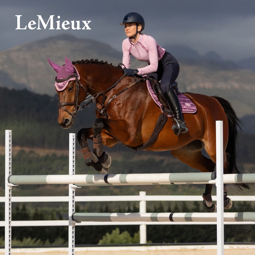 For the Jumper Horse & Rider