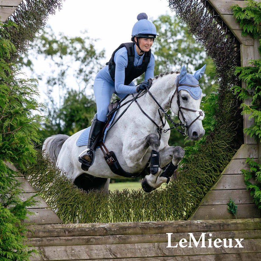 For the Cross Country Horse & Rider