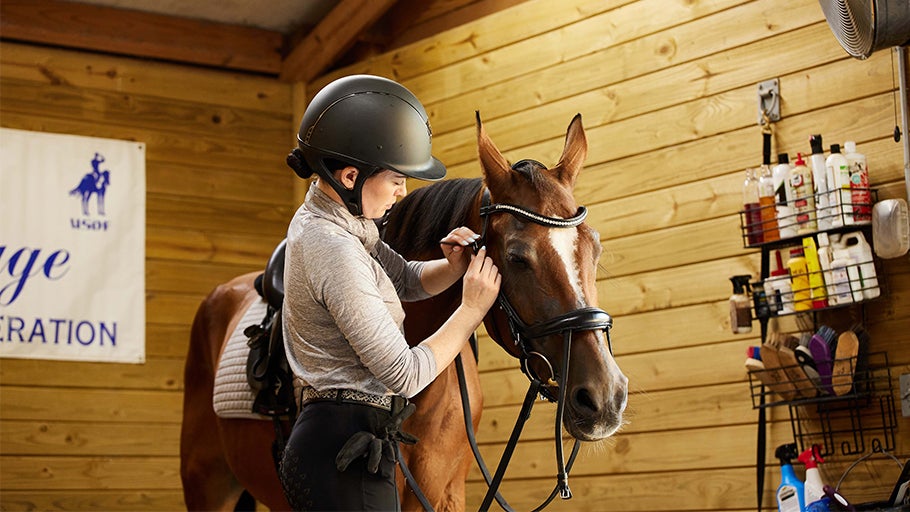 How to Assemble an English Bridle