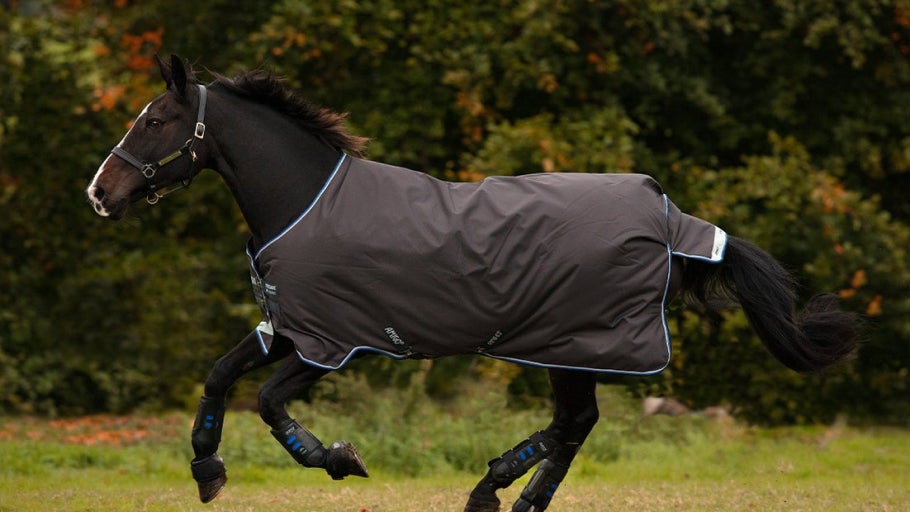 Horse Blanket Accessories  Equestrian Blankets & Covers - Bahr Saddlery