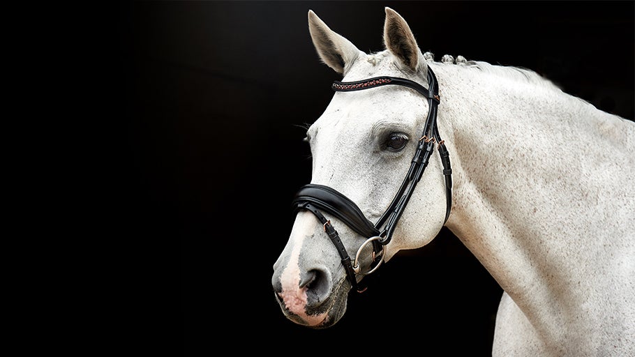 Best English Bridles of 2023