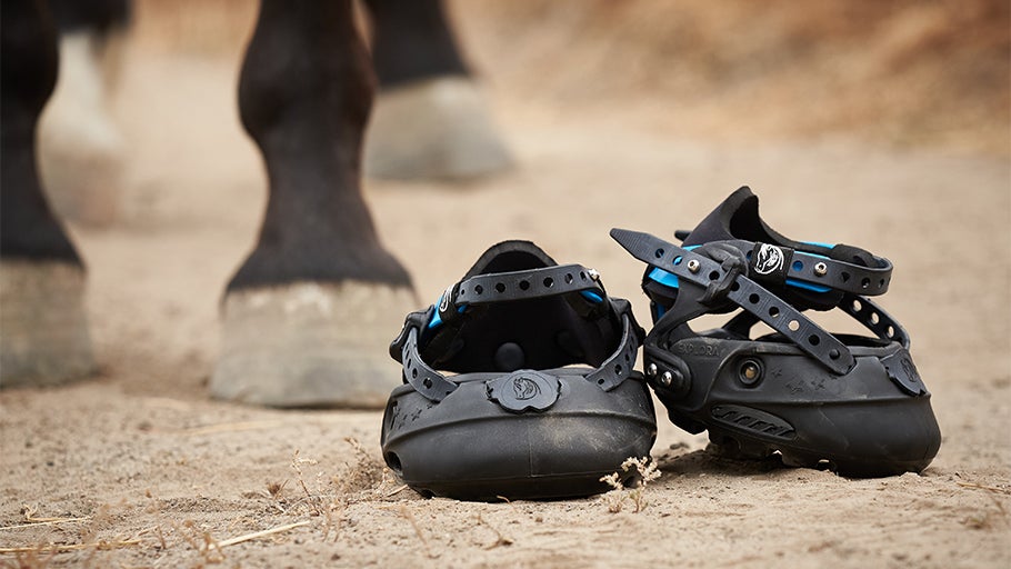 How to Choose Horse Hoof Boots