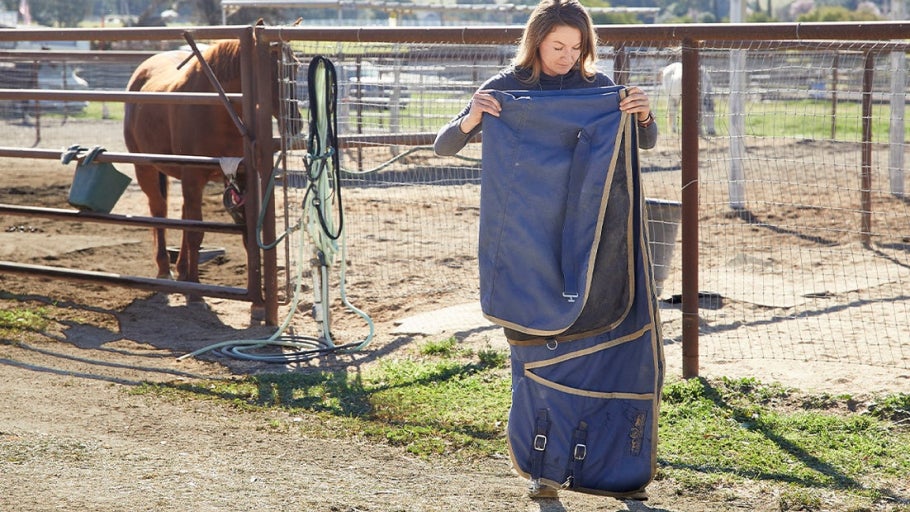 How to Clean, Fix, & Store Horse Blankets