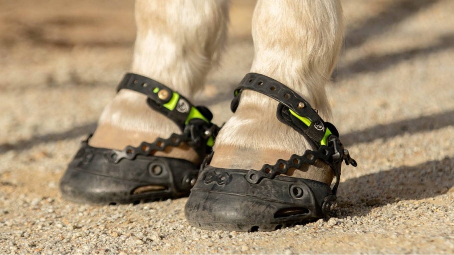 Explora Hoof Boots Guide & Review