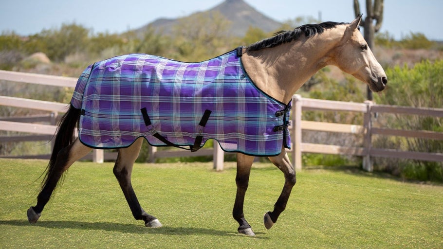 Fly Control Gear for Horses