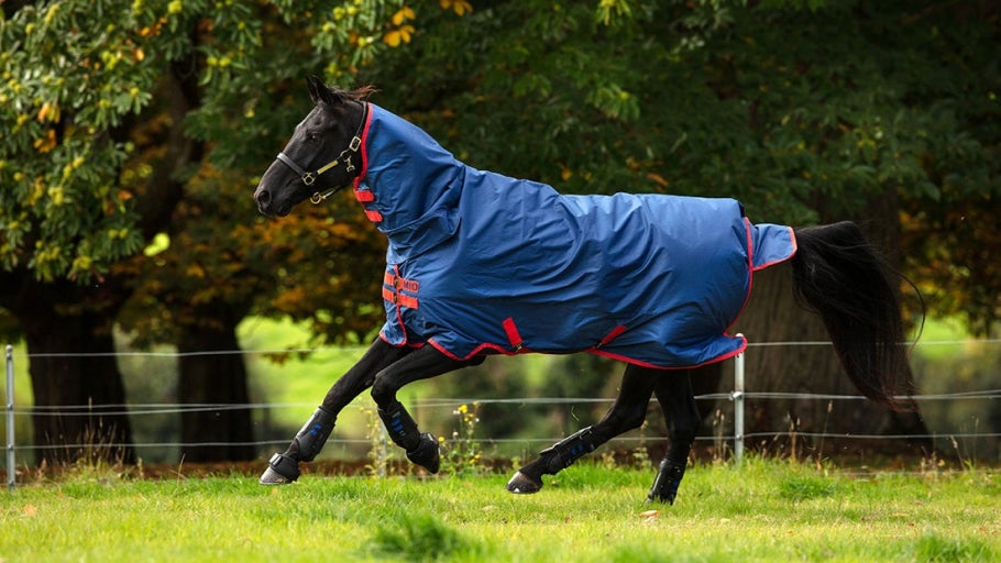 How to Choose a Horse Blanket