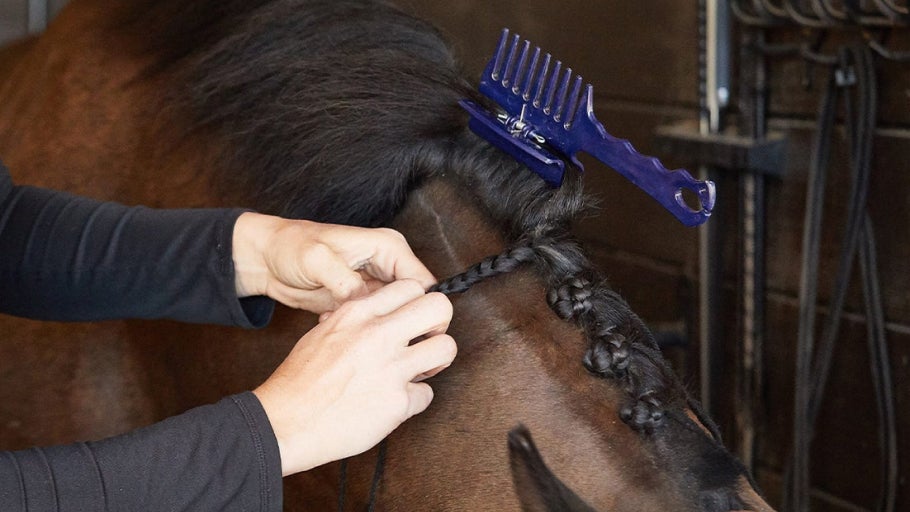 How to Braid for Dressage, Eventing, & Jumpers