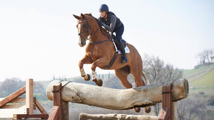 How to Ride Different X-Country Fences