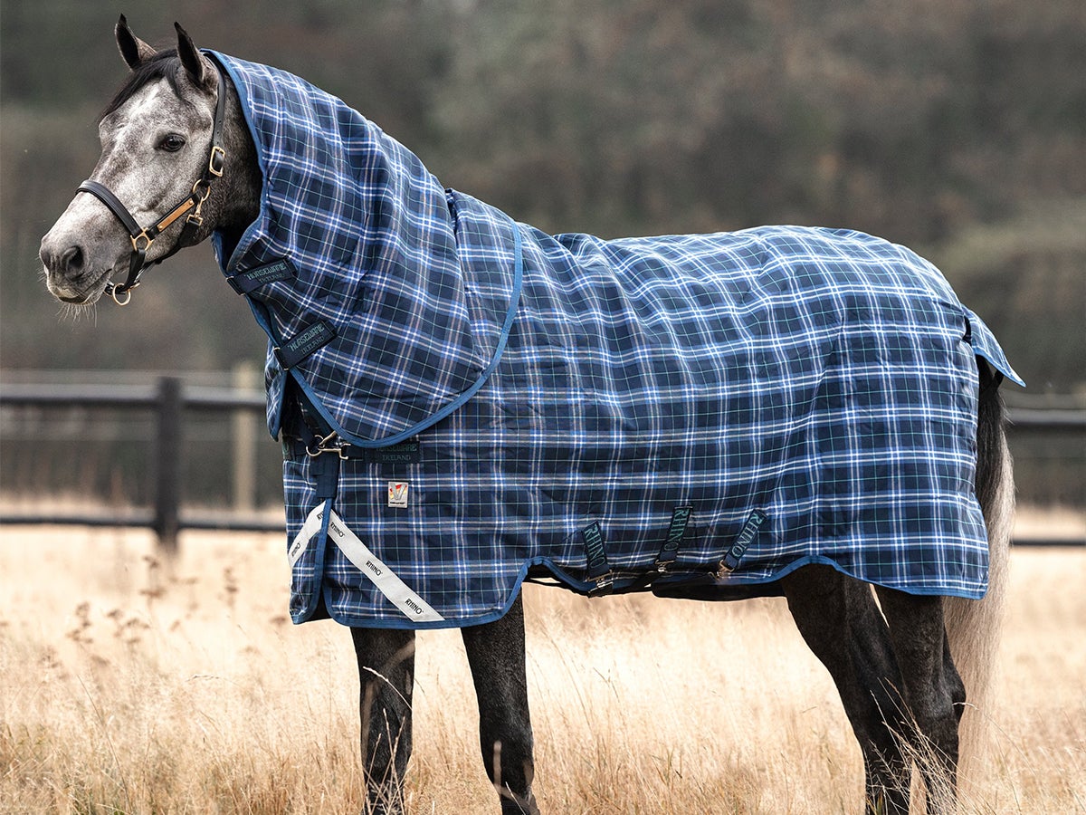 Discover 2023's Best Horse Blankets at Riding Warehouse! 🐴❄️ - Riding  Warehouse