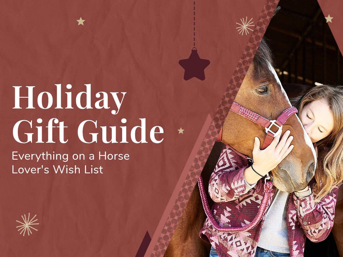 Holiday SR Everything on a Horse Lover's Wish List S 