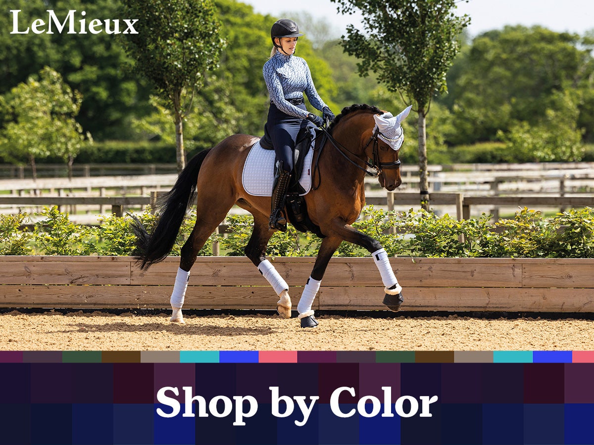 LeMieux Fall Colors Are HERE! - Riding Warehouse