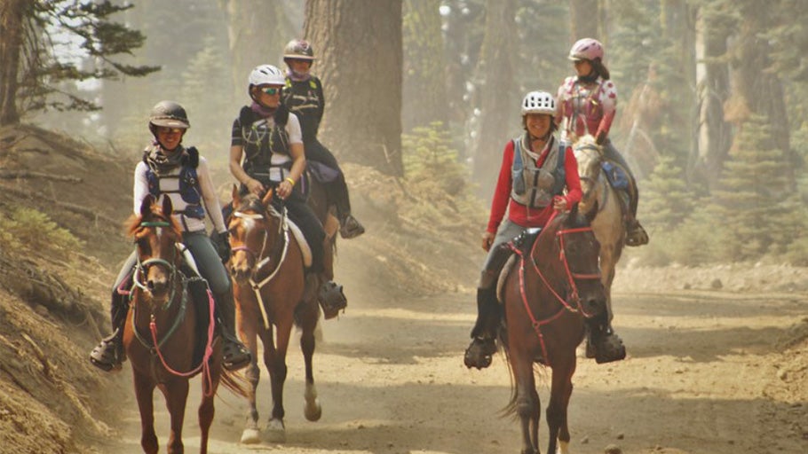 Training for 100 Mile Endurance Rides