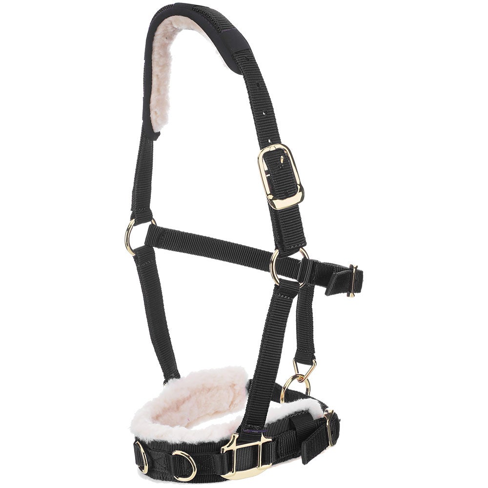 Shires Fleece-Lined Nylon Lunge Cavesson | Riding Warehouse