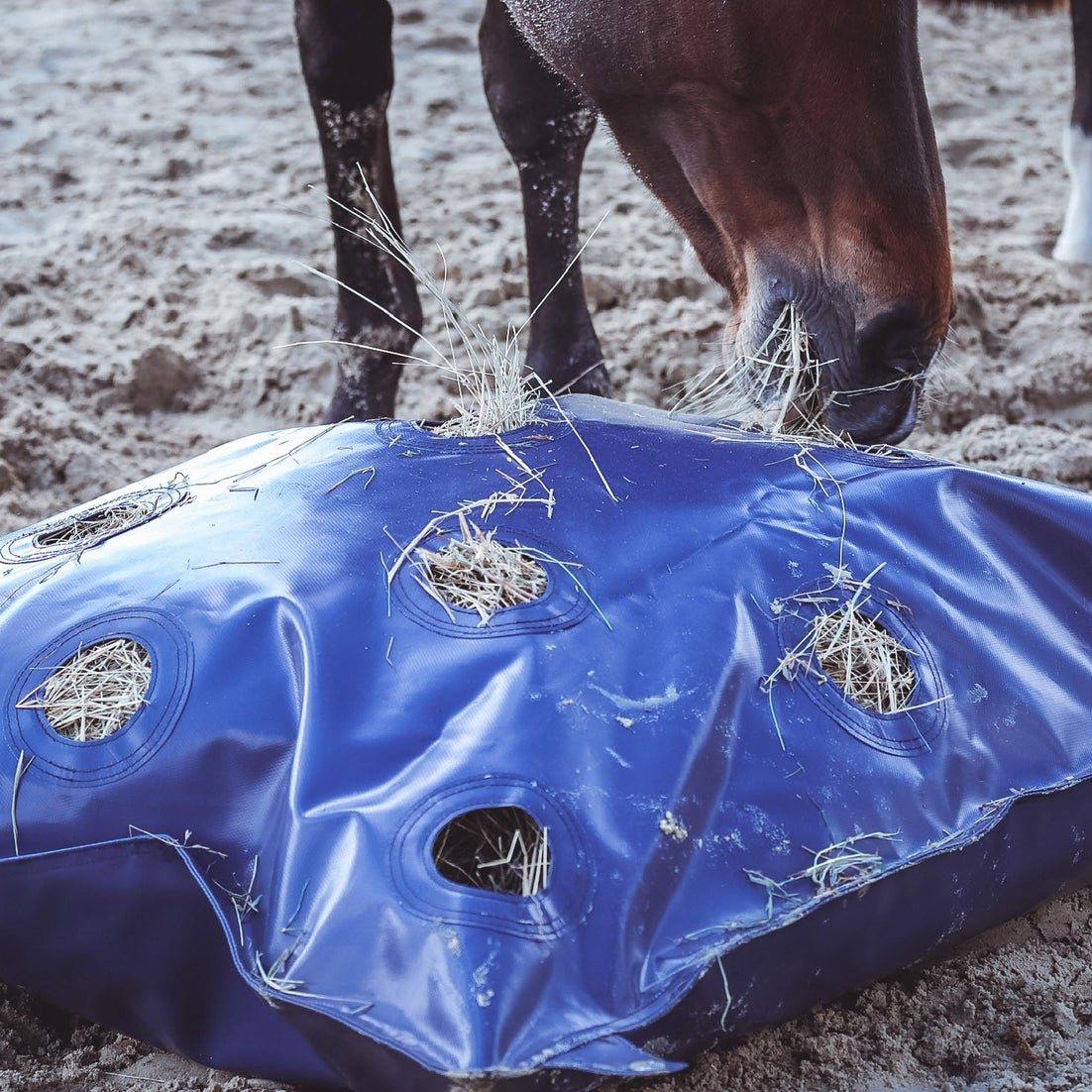 GG Equine Slow Feeder HayPlay Bag XL Riding Warehouse
