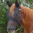 Cashel Quiet Ride Masque anti-mouches pour cheval avec nez long et oreilles Noir : Cashel Company