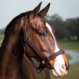 LeMieux Leather Stitched Hunter Headcollar Halter