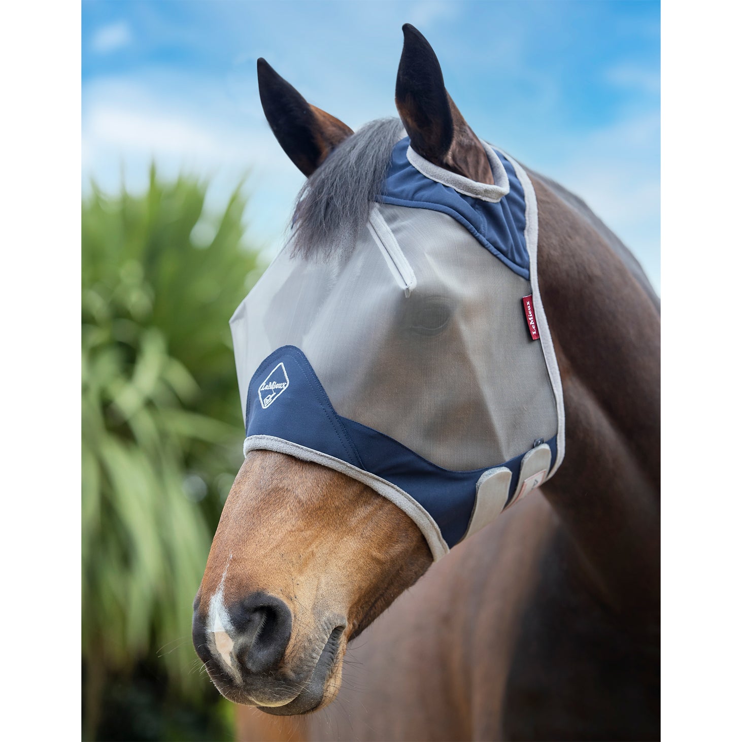 LeMieux Armour Shield Pro Standard Fly Mask Riding Warehouse