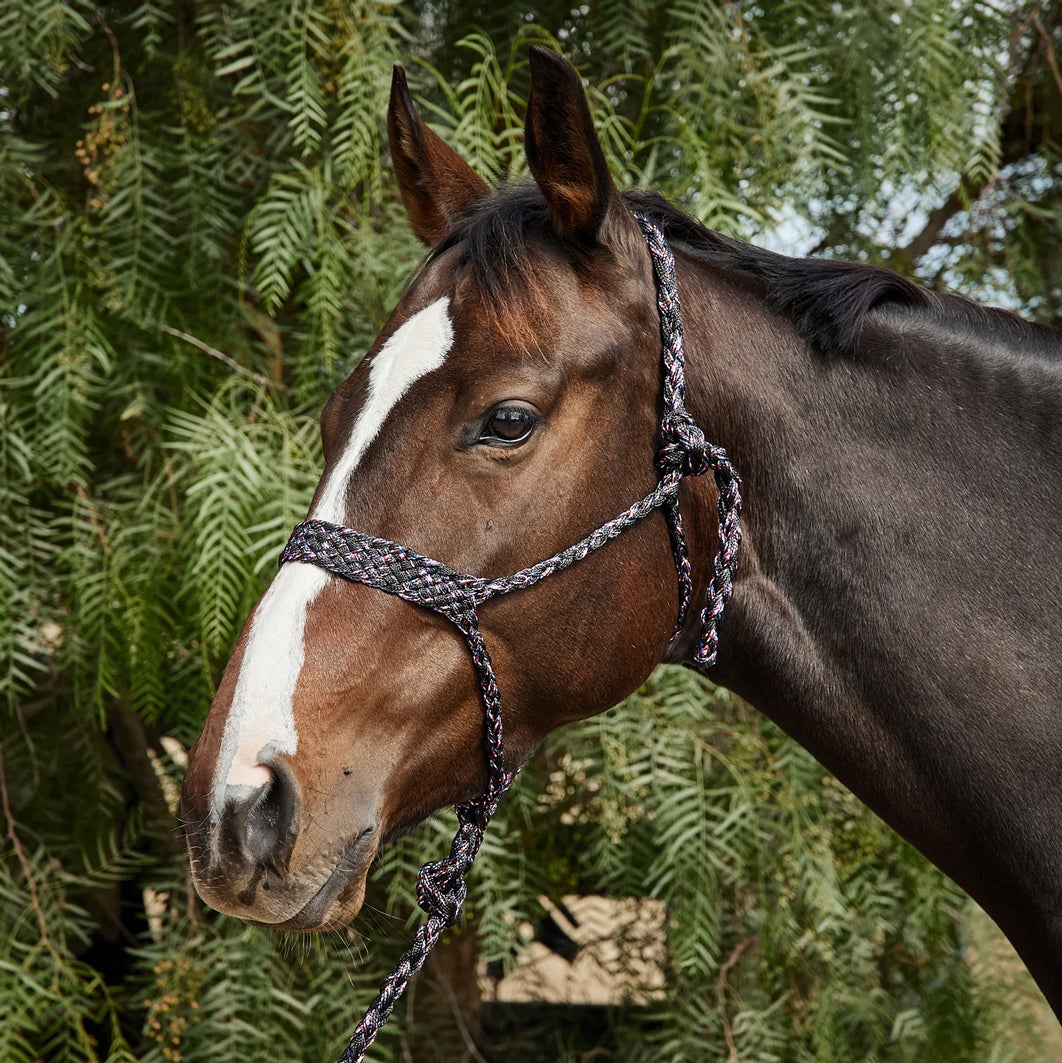 Tough 1 Braided Mule Tape Rope Halter w/Lead Riding Warehouse