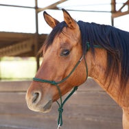 Knotty Girlz 1/4" Stiff 2-Knot Poly Rope Halter