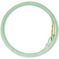 Cactus Relentless Swagger Core TX Heel Team Rope 36'