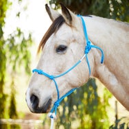 Knotty Girlz 1/4" Stiff 4-Knot Poly Rope Halter