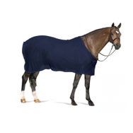 Centaur Show Scrim Mesh Dress Sheet