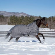 Equinavia Arktis Extended Neck Turnout Blanket 200G