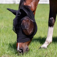 Equinavia Bug Out Pull On Nylon Fly Mask